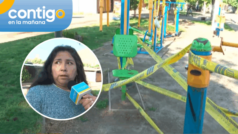 Perro murió por descarga eléctrica en Conchalí: vecinos denuncian mal funcionamiento de focos de luz