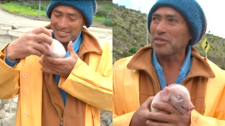 Dramático momento tuvo final feliz: Rescatado de aluvión viajaba con una chanchita de solo tres días
