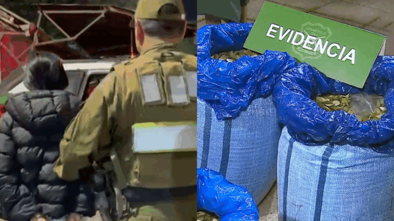 Detuvieron a seis personas por 100 kilos de hojas de coca en operativo en Pudahuel, Quilicura y Melipilla