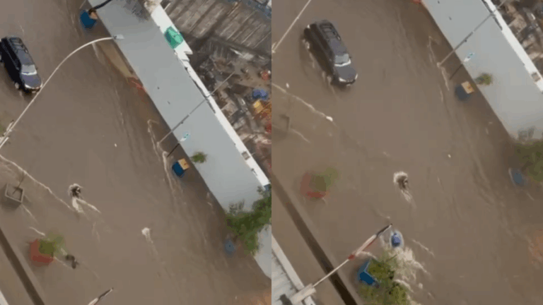 Mujer fue arrastrada por fuerte corriente en Irarrázaval: Bombero se lanzó al agua para rescatarla