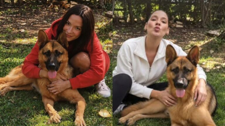 Kel Calderón revela hipótesis tras muerte de tres perros en Pelarco: 
