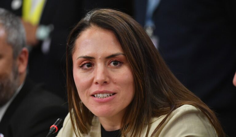 Ex subsecretario Andrés Otero confesó que hubo discusiones con Natalia Duco: 
