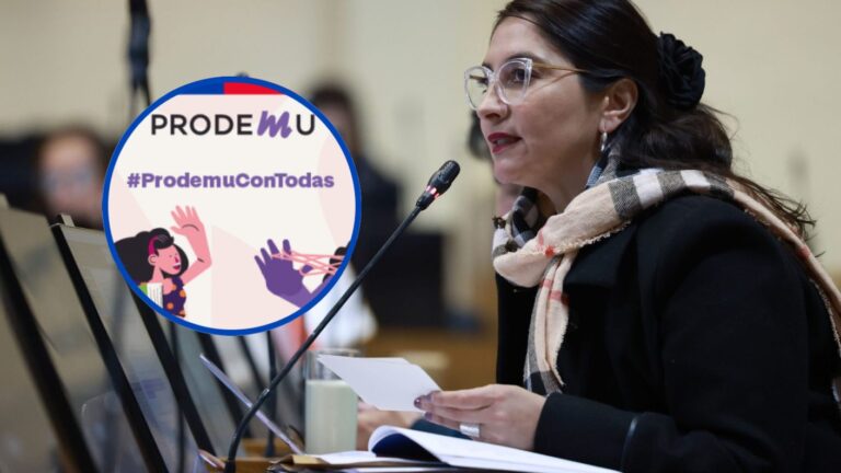 Diputada Castillo critica cierre de Prodemu: 