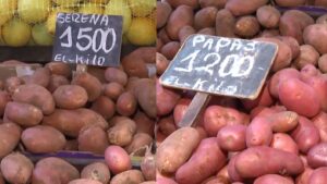 Precio de la papa acumula un alza de 62% en 2026: intensas lluvias complican cosechas