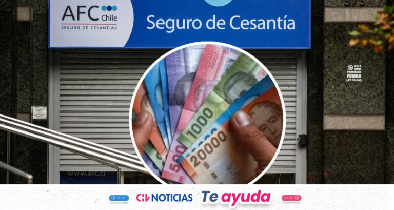 Seguro de Cesantía: Quiénes pueden retirar el 100% de sus fondos en una sola cuota