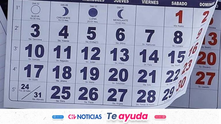 Doble feriado en fin de semana: así funcionará el comercio el 31 de octubre y 1 de noviembre