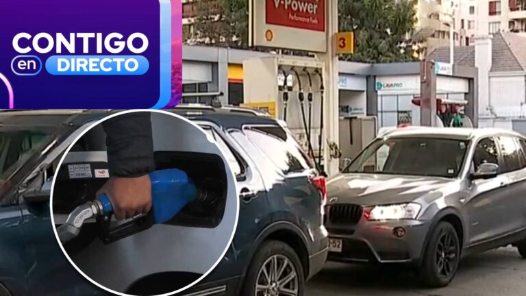 Frente al alza de combustibles: ¿qué medidas se pueden aplicar para que no golpee al bolsillo de los chilenos?