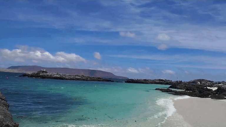 Buscan impulsar turismo en Bahía Inglesa a través de venta de terrenos fiscales