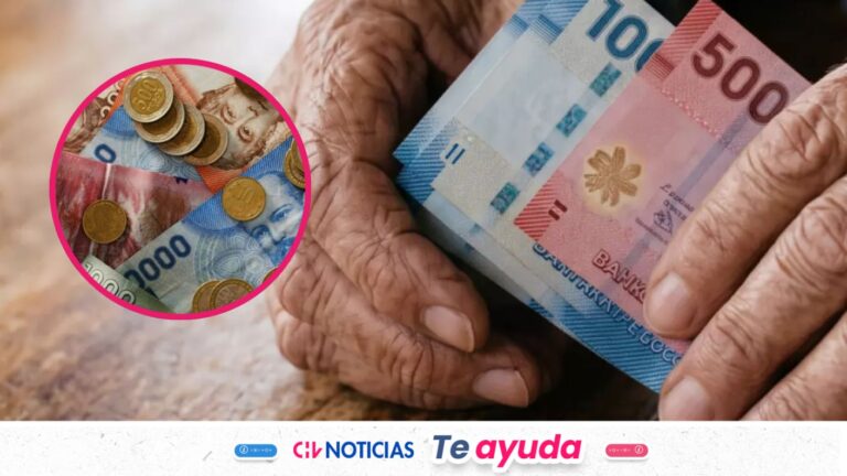 Hasta $482 mil para adultos mayores: Los bonos del Estado que puedes solicitar en octubre