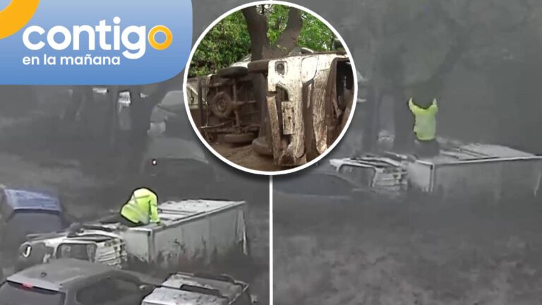 VIDEO | Conductor se aferró a un árbol para salvarse del aluvión: Camión se fracturó en dos
