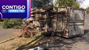 Camión terminó volcado tras colisión en Santiago: impacto entre vehículos arrancó árbol de raíz