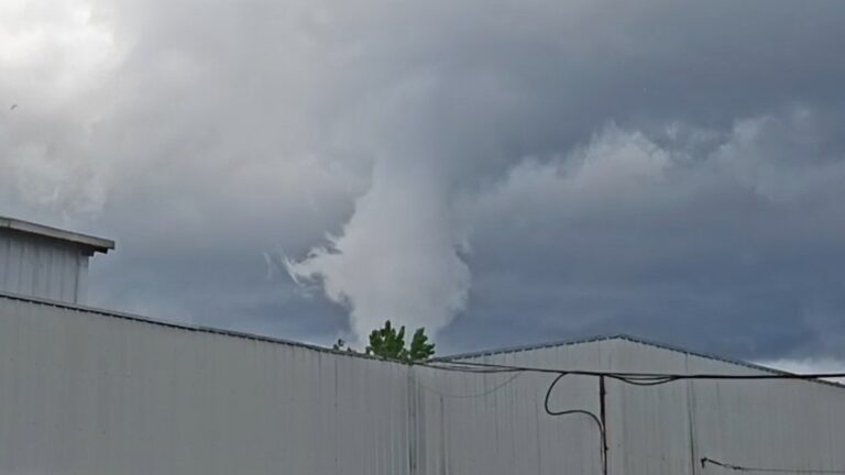 VIDEO | Reportan tornado en el Maule: Confirman daños y caída de árboles