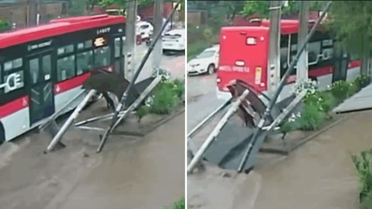 VIDEO | Bus RED arrasó con paradero de buses en La Florida en medio de las intensas lluvias