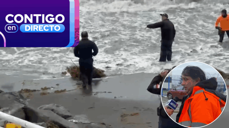 Testigo relata hallazgo de tripulante ecuatoriano desaparecido tras caer al mar en Talcahuano: “Durante la mañana…”