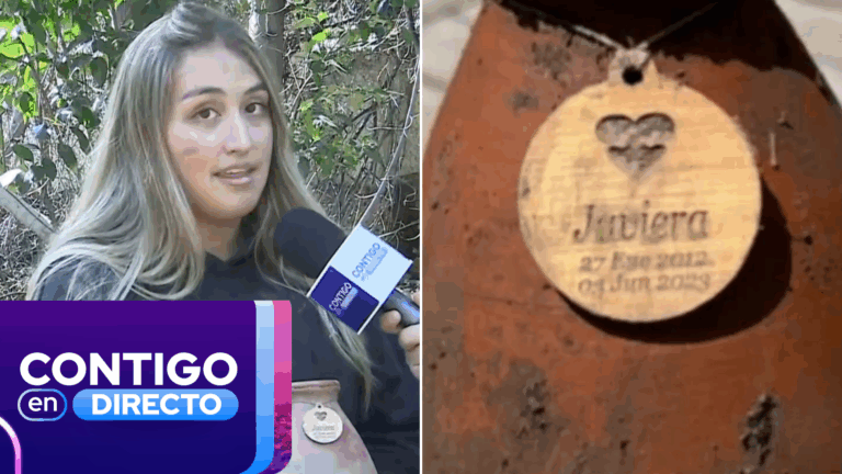 Buscan a familia que perdió un ánfora en aluvión de Las Condes: Fue hallada intacta entre el barro