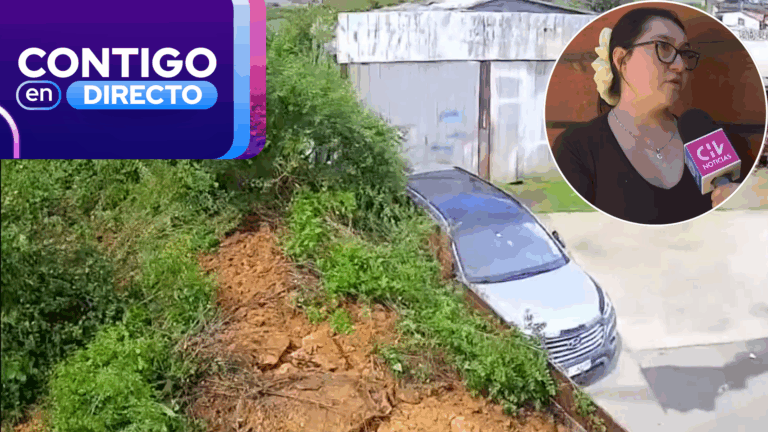 VIDEO | Su perrito la alertó: Deslizamiento de cerro impactó auto y afectó vivienda en Lota