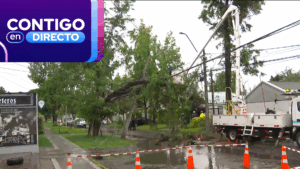 Sistema frontal en Santiago: Caída de árbol fracturó poste y obligó a cortar el tránsito en La Reina