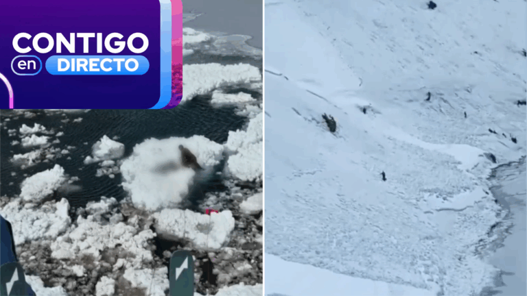 Tragedia en Portillo: buzos de la Armada recuperan cuerpo de tercera víctima desde la Laguna del Inca
