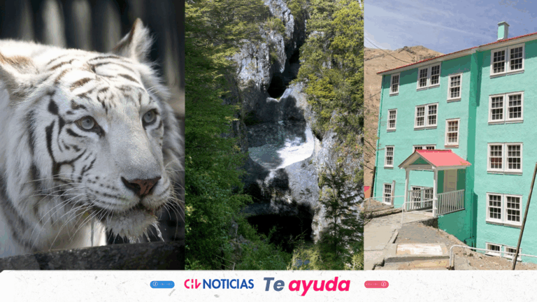 EFE anuncia venta con hasta 50% de descuento: Estas son las promociones