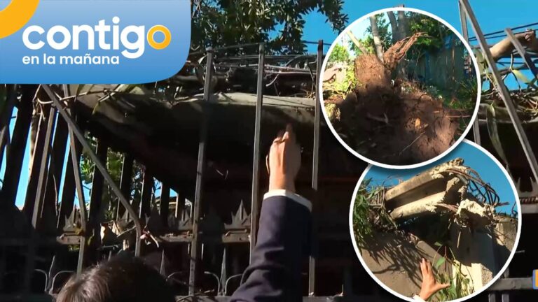 Tras caída de árbol de 25 metros: Familia quedó atrapada al interior de su casa en Estación Central