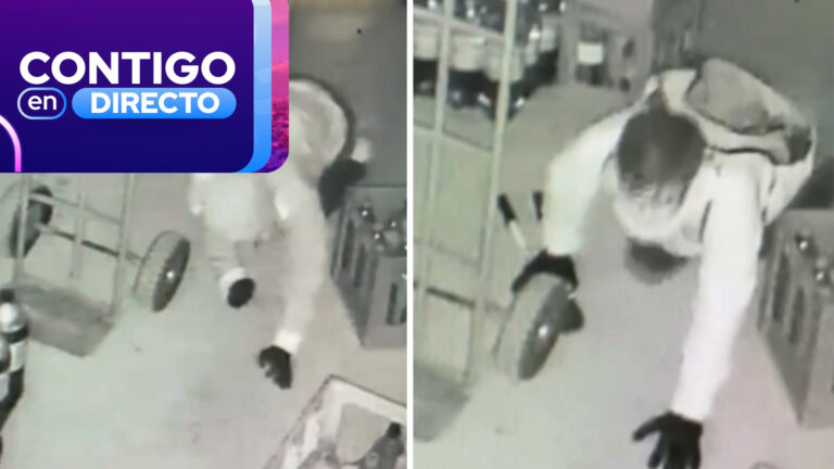 Ladrones gatearon para evitar el sensor de movimiento pero las cámaras registraron el robo en Paine