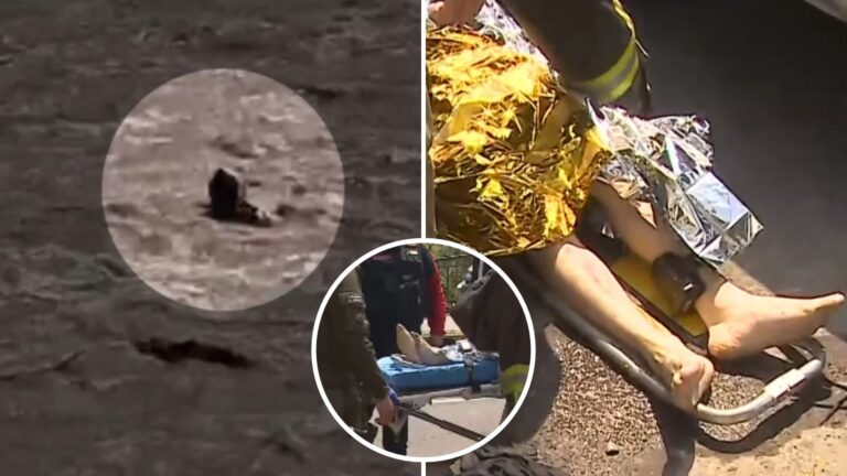 VIDEO | Insólita fuga: hombre acusado de estafa se lanzó al canal San Carlos y avanzó 6 kilómetros