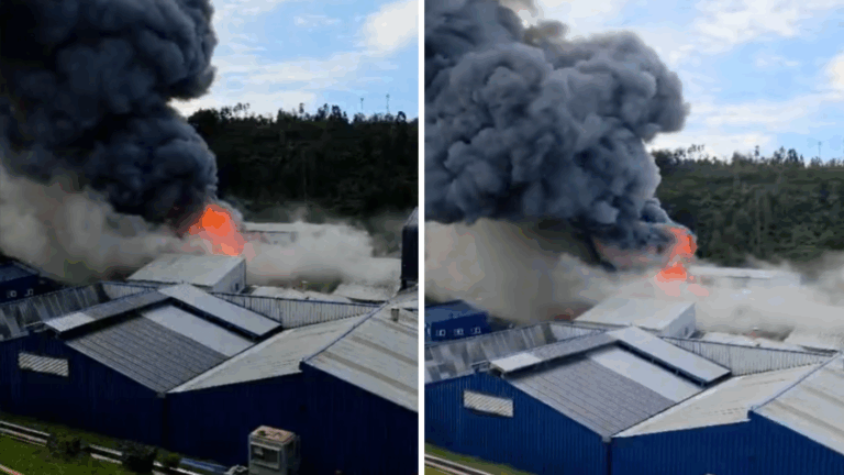Reportan intensa columna de humo: gran incendio afecta empresa salmonera en Puerto Montt