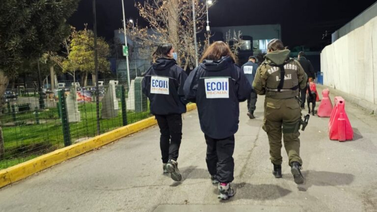 Está internado grave: Investigan enigmático homicidio frustrado en una plaza de Puente Alto