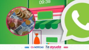 WhatsApp comienza a cobrar por mensajes enviados: Quiénes deberán pagar en la app desde octubre