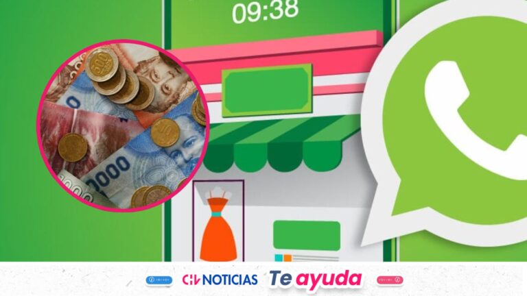 WhatsApp comienza a cobrar por mensajes enviados: Quiénes deberán pagar en la app desde octubre