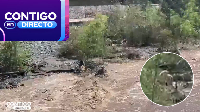 Al igual que “Morocho”: Preocupación por otro perrito atrapado en el río Mapocho por aumento del caudal
