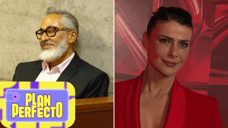 Tras ser citada a declarar: Tonka Tomicic solicitó que desalojaran a Parived de su departamento