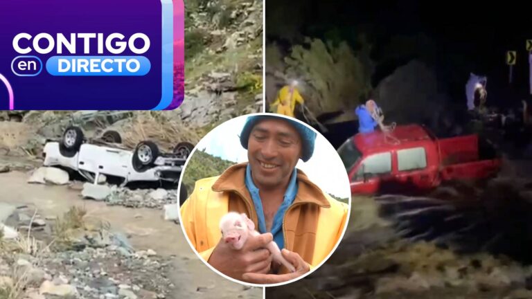 Refugió a cerdito bebé en sus ropas: así fue el dramático rescate de conductor atrapado en aluvión en Canela