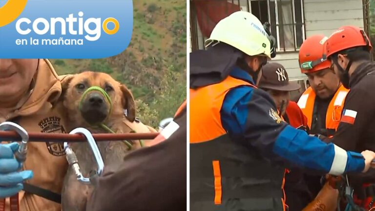 VIDEO | Así fue el rescate de una pareja y sus mascotas que quedaron atrapadas tras desborde del río Mapocho