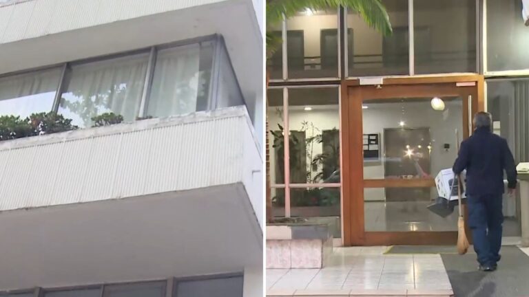 Había engañado al conserje: Delincuente trepó balcones para robar tres departamentos en Providencia