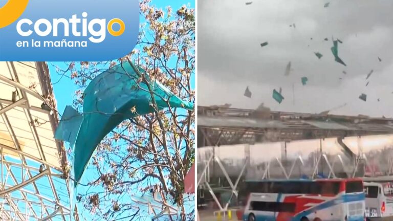 Locatarios del terminal que presenciaron tornado entregaron impactantes testimonios: “Todos corrieron para cubrirse”
