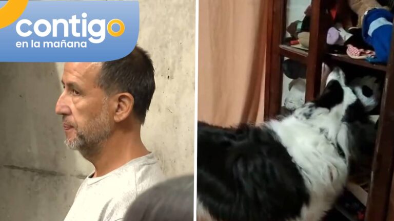 VIDEO | Triple homicidio en La Reina: El registro de la mascota de Jorge Ugalde que fue descatada por la jueza