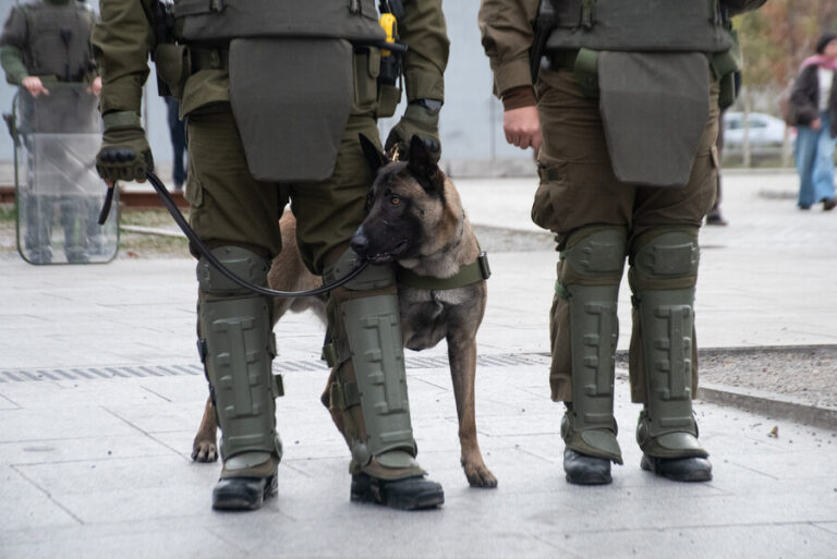 Humillación a adolescente, golpiza a esposado y ataque con perro: Las condenas de dos funcionarios activos de Carabineros