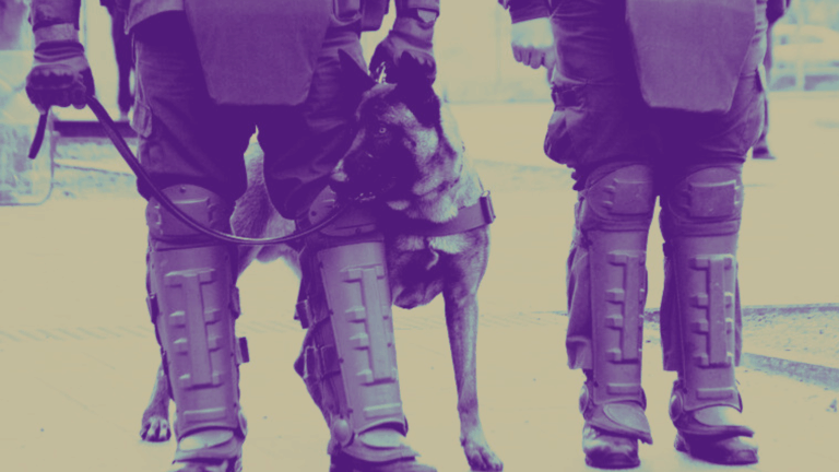 Humillación a adolescente, golpiza a esposado y ataque con perro: Las condenas de dos funcionarios activos de Carabineros